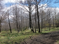 Serra_Buffa - 20110417 096.jpg